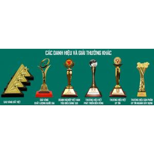 Danh hiệu và giải thưởng